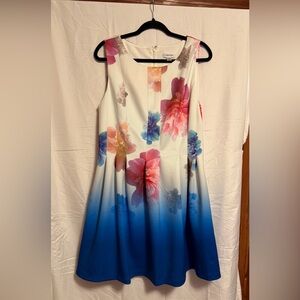 Calvin Klein Floral Blue and Pink Dress